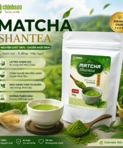 Matcha Shantea - Ancient-tree 6 Matcha Shantea - Ancient-tree - Image 2